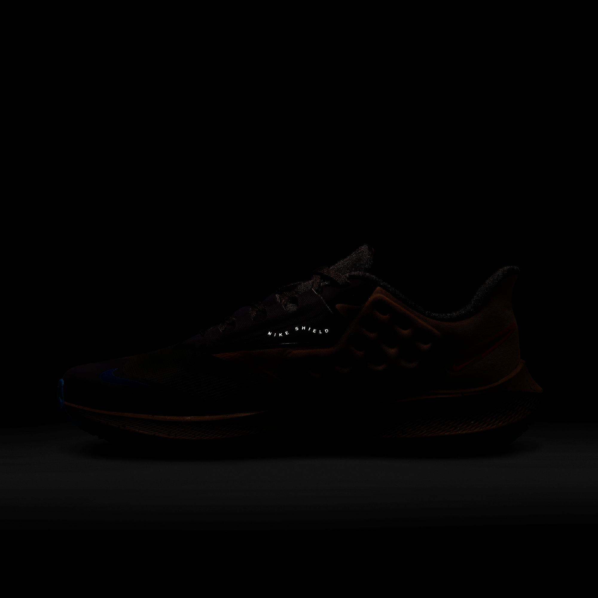 Nike Air Zoom Pegasus 39 Shield Weatherised Road Running Erkek Spor Ayakkabı