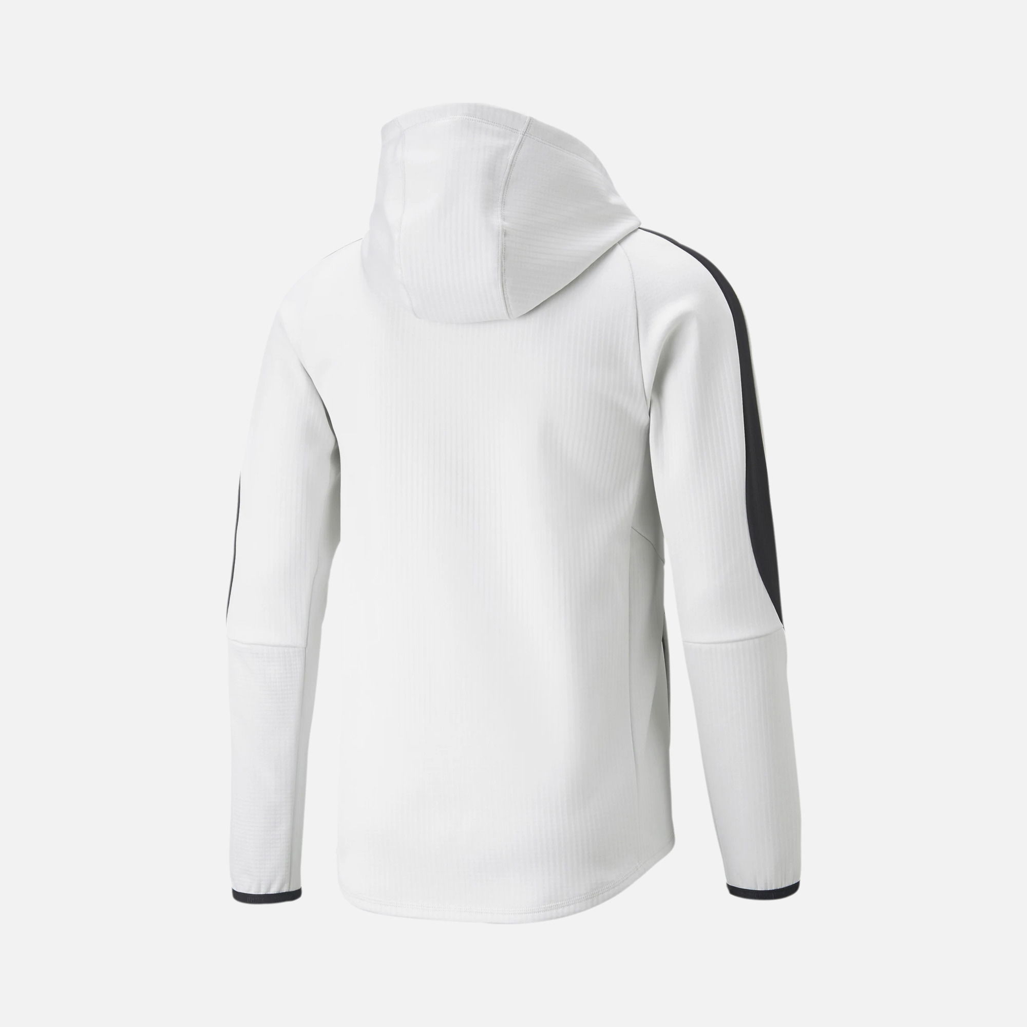 Puma Sportswear Evostripe Warm Full-Zip Hoodie Erkek Sweatshirt
