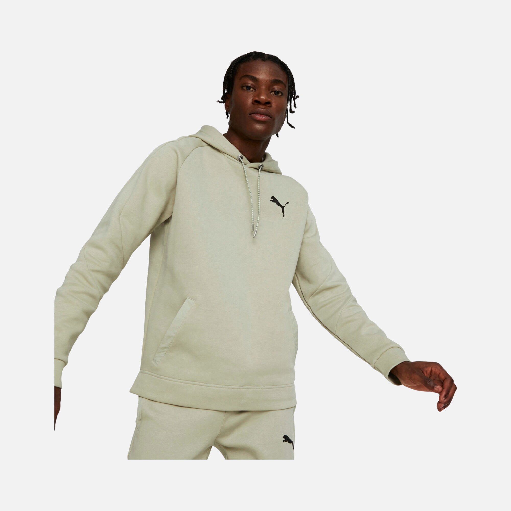 Puma Sportswear Day In Motion Hoodie Erkek Sweatshirt