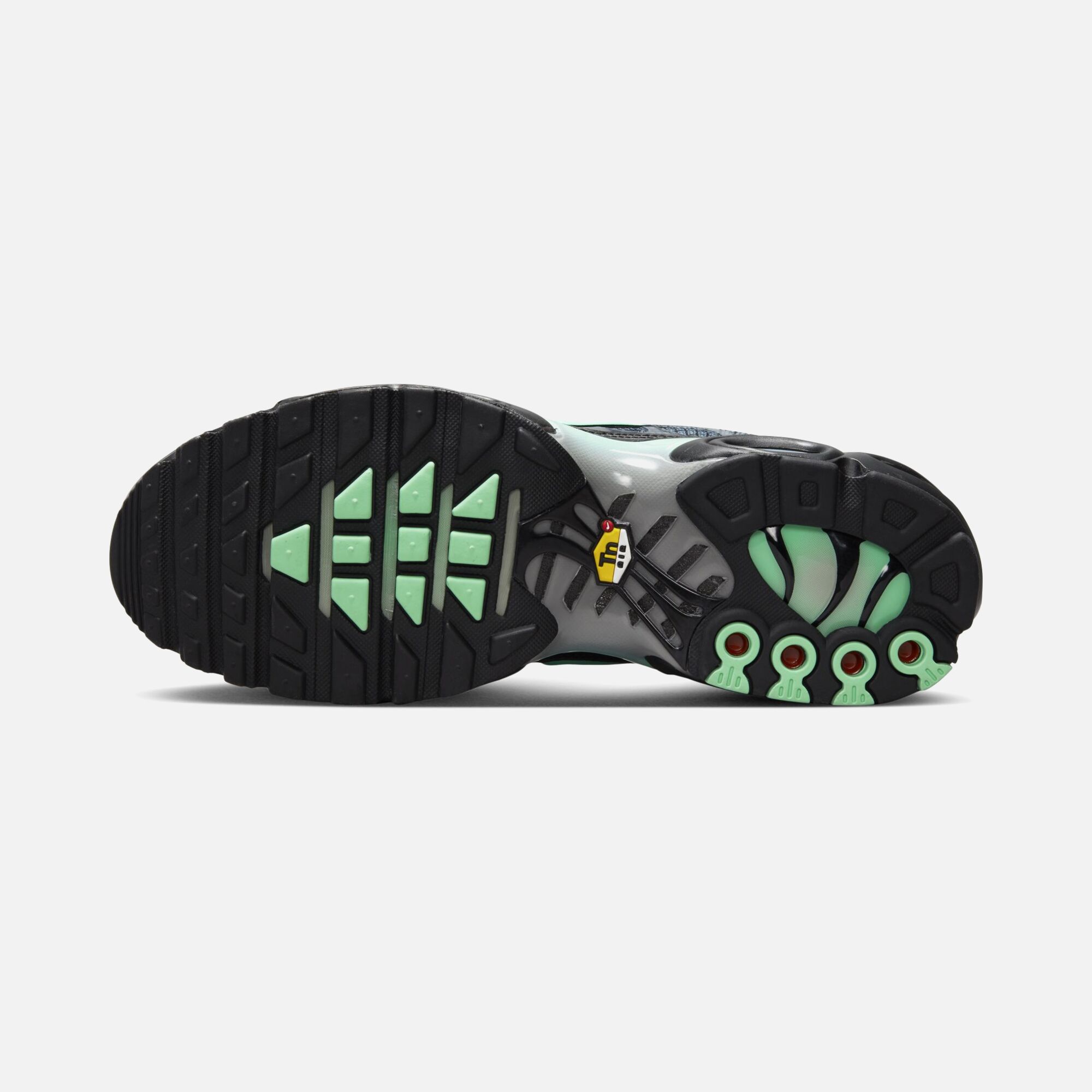 Nike Air Max Plus Sportswear Erkek Spor Ayakkabı