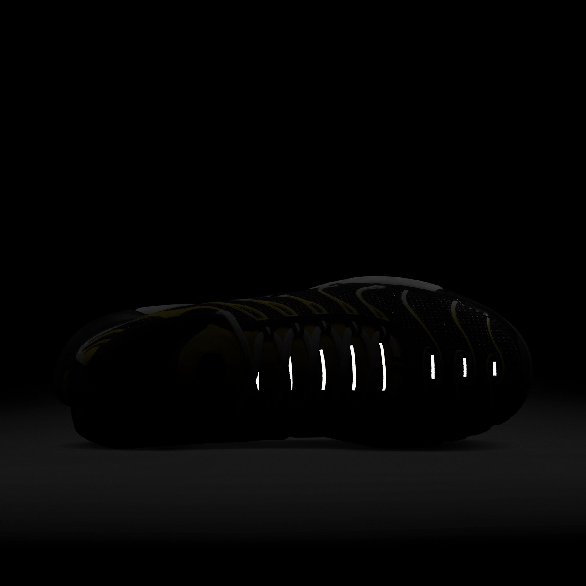 Nike Sportswear Air Max Plus Erkek Spor Ayakkabı