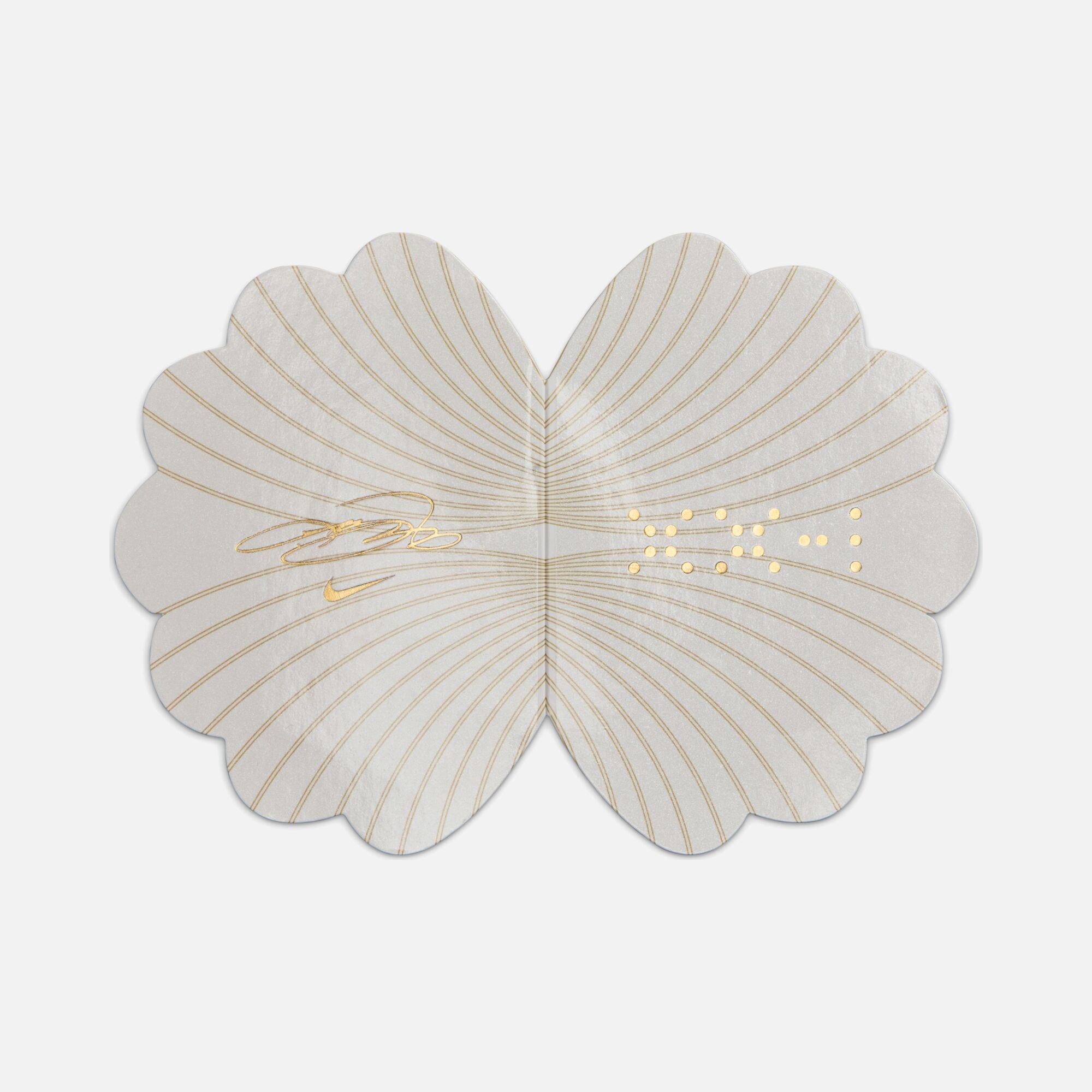 Nike LeBron James XXI ''360 C° Regional Cord System'' Erkek Basketbol Ayakkabısı