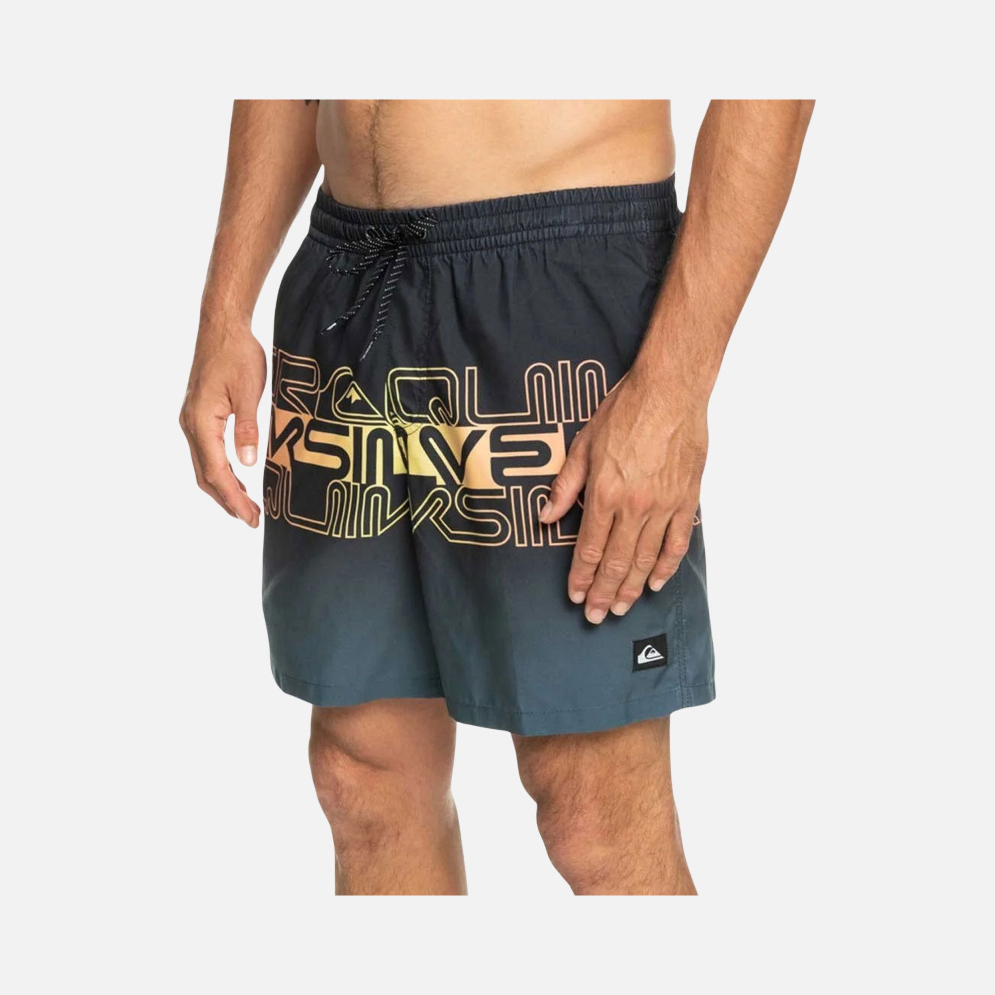 Quiksilver Wordblock 17'' Jamv Erkek Şort Mayo