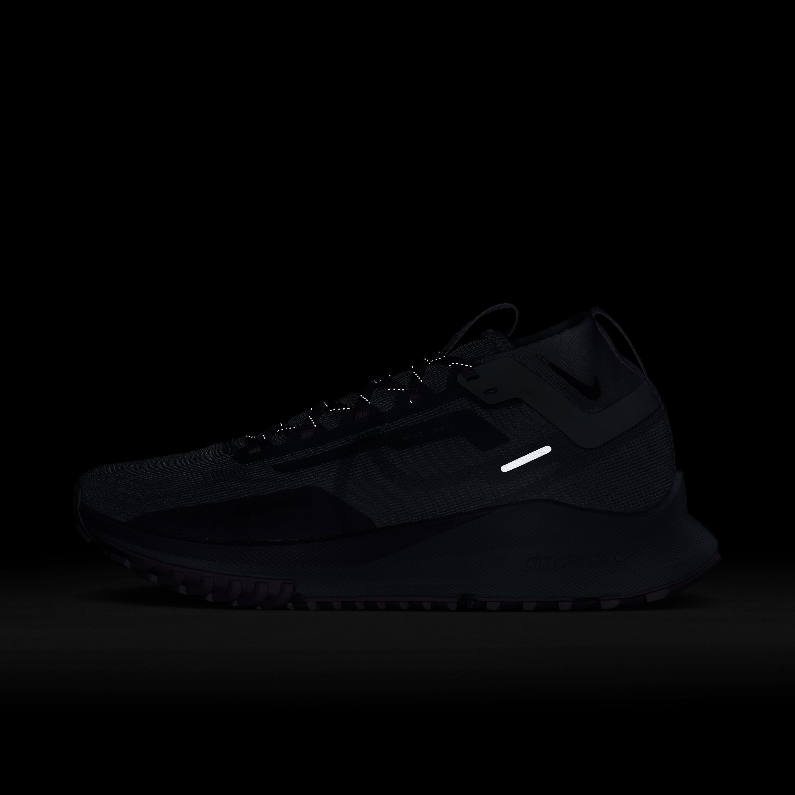 Nike React Pegasus Trail 4 Gore-Tex Running Kadın Spor Ayakkabı