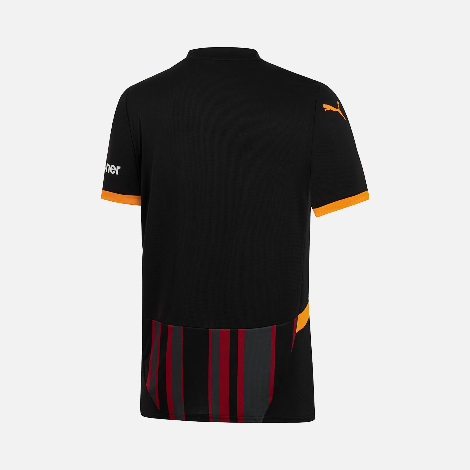 Puma Galatasaray 2024-2025 Stadium Üçüncü Takım Erkek Forma