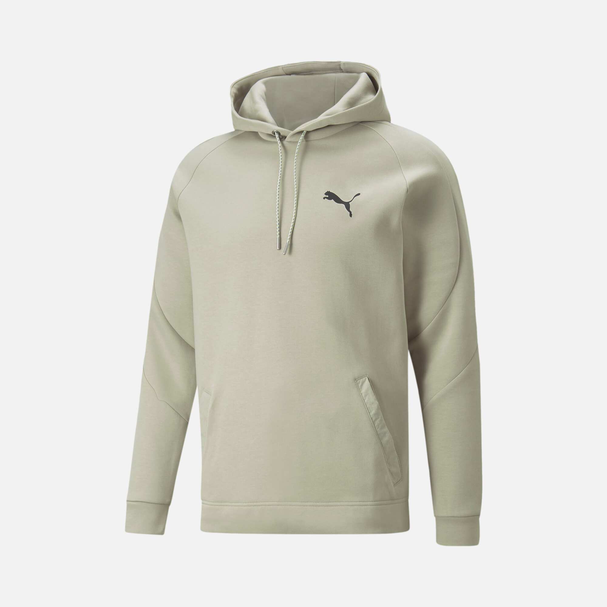 Puma Sportswear Day In Motion Hoodie Erkek Sweatshirt