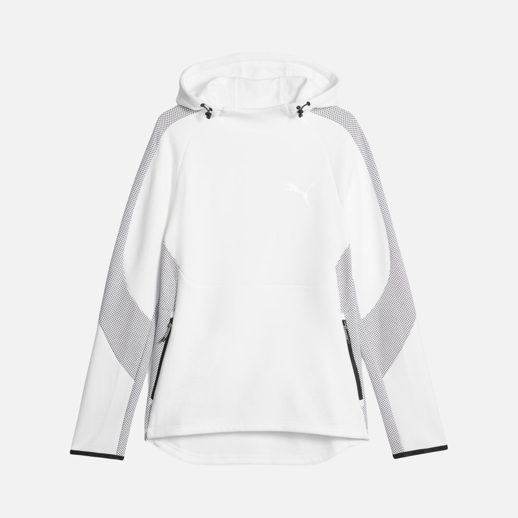 Puma Sportswear Evostripe Dk Hoodie Erkek Sweatshirt