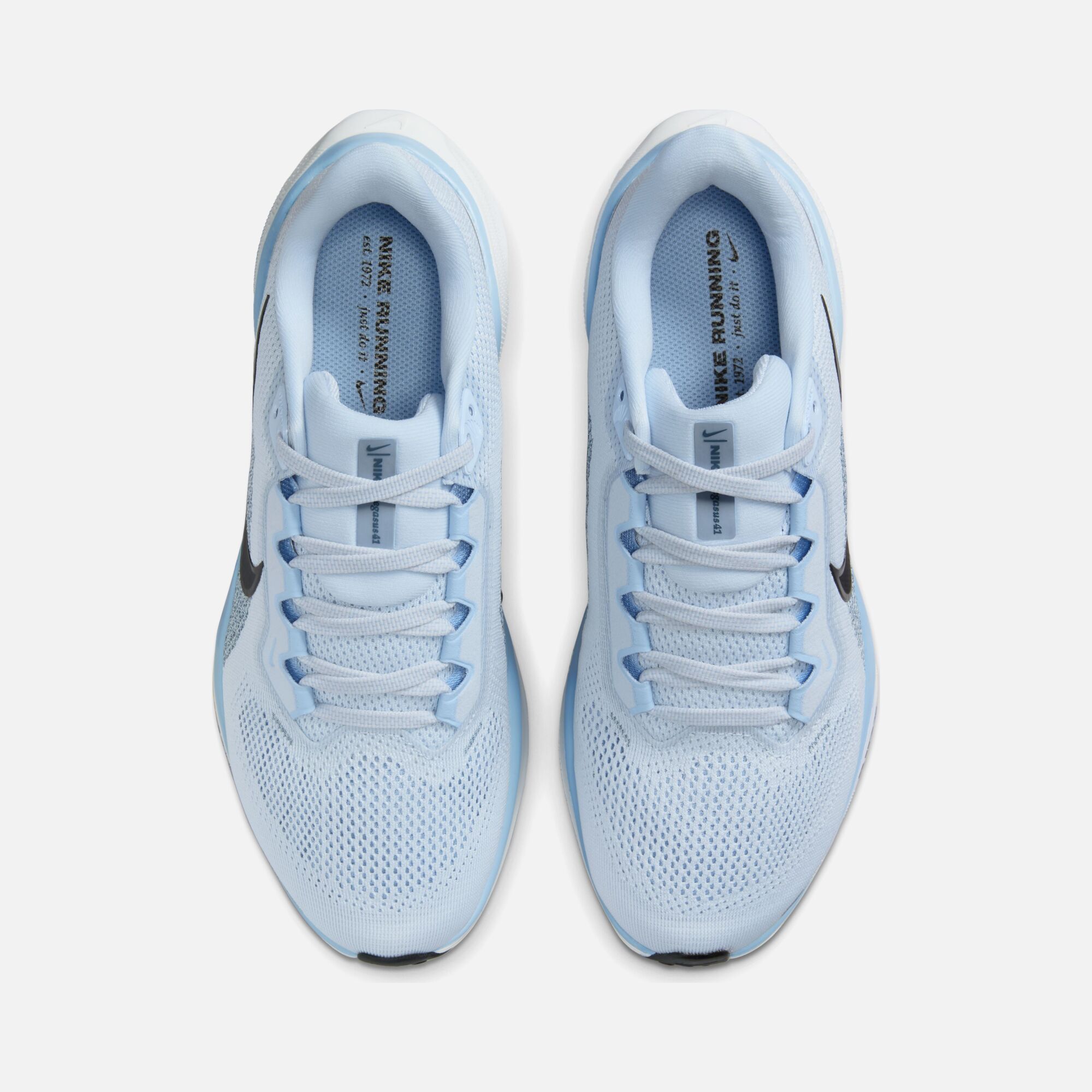 Nike Air Zoom Pegasus 41 Road Running Kadın Spor Ayakkabı